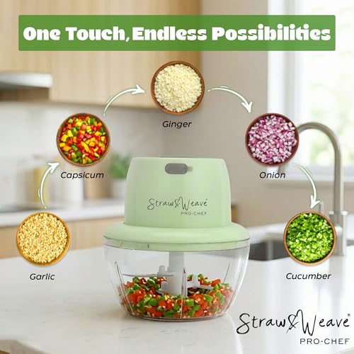 Electric Mini Food Vegetable Chopper